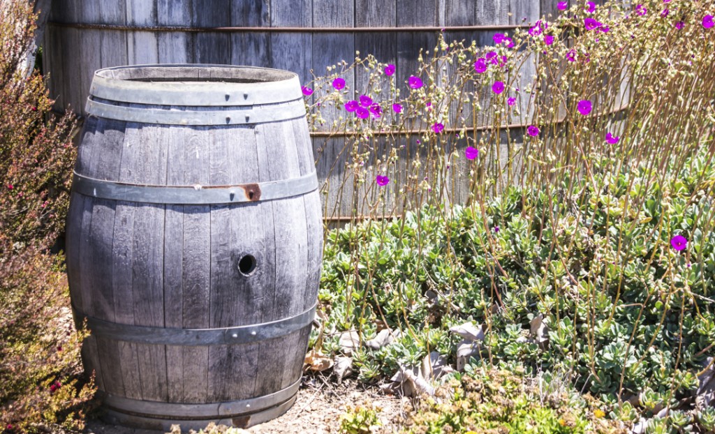 Rustic wine barrel